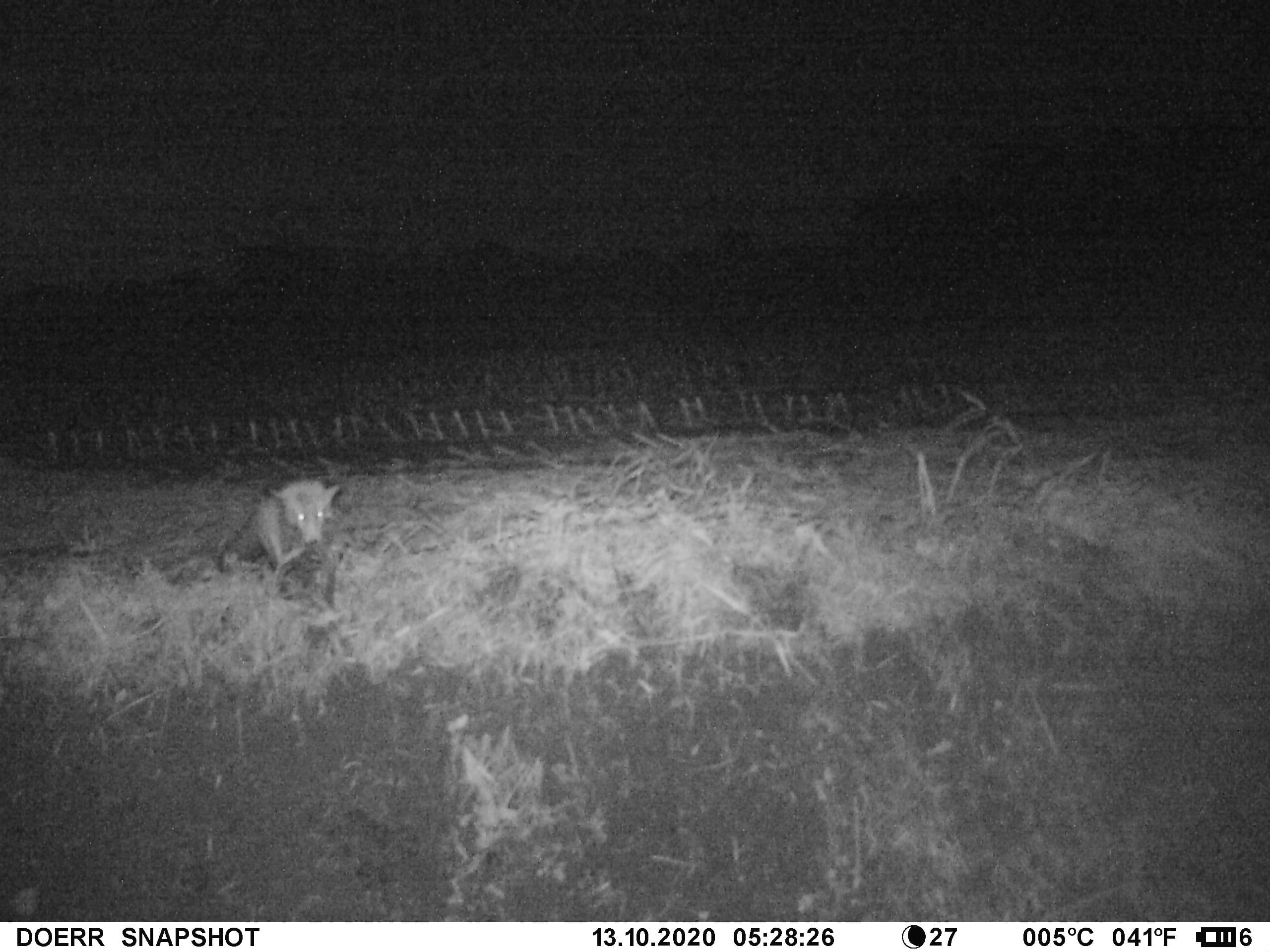 Nocpix thermal spotters, voorzet en richtijkers